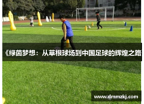 《绿茵梦想：从草根球场到中国足球的辉煌之路》