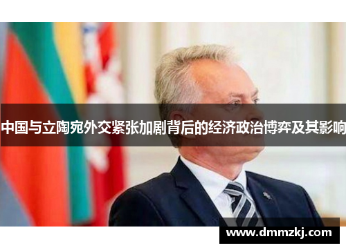 中国与立陶宛外交紧张加剧背后的经济政治博弈及其影响